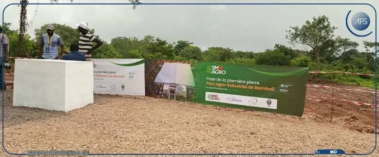 Sadio Mané veut transformer Bambali par l’agro-industrie